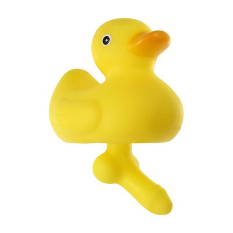 Canard duck with a dick pas cher