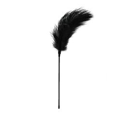 Fouets à plumes noir pas cher