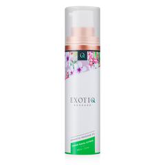 Huiles de massages exotiq de basilic aux agrumes - 100 ml pas cher